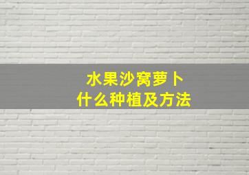 水果沙窝萝卜什么种植及方法