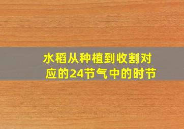 水稻从种植到收割对应的24节气中的时节