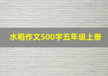 水稻作文500字五年级上册