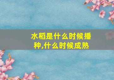 水稻是什么时候播种,什么时候成熟