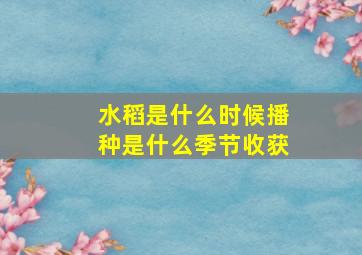 水稻是什么时候播种是什么季节收获