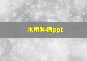 水稻种植ppt