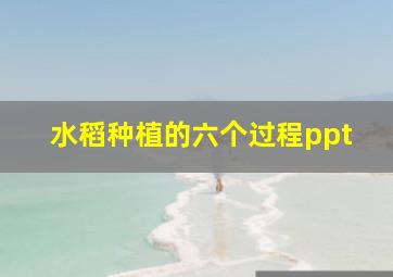 水稻种植的六个过程ppt