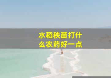 水稻秧苗打什么农药好一点