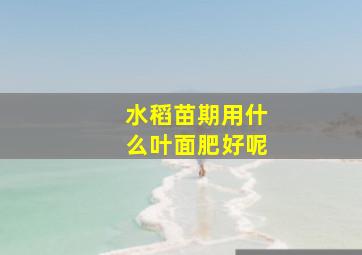 水稻苗期用什么叶面肥好呢