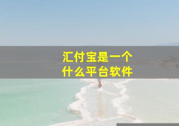 汇付宝是一个什么平台软件