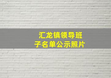 汇龙镇领导班子名单公示照片