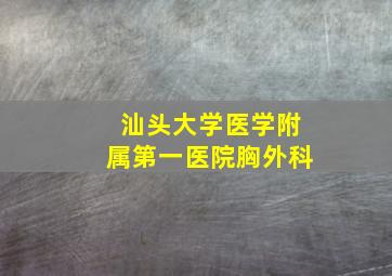 汕头大学医学附属第一医院胸外科