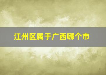 江州区属于广西哪个市