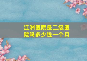 江洲医院是二级医院吗多少钱一个月