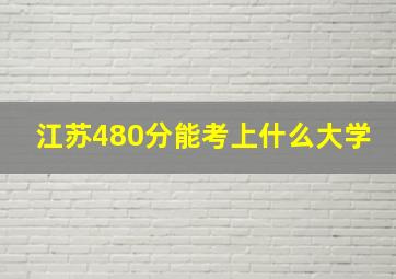 江苏480分能考上什么大学