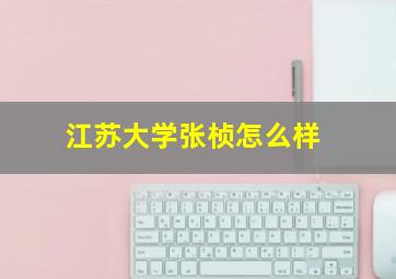 江苏大学张桢怎么样