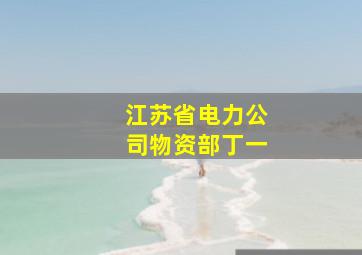 江苏省电力公司物资部丁一