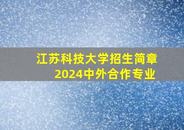 江苏科技大学招生简章2024中外合作专业