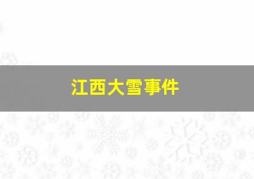 江西大雪事件