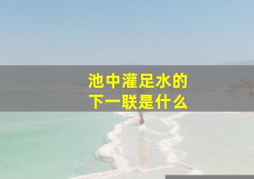 池中灌足水的下一联是什么