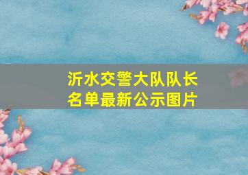 沂水交警大队队长名单最新公示图片