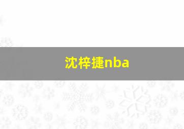 沈梓捷nba