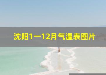 沈阳1一12月气温表图片