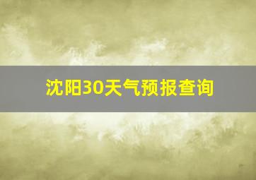 沈阳30天气预报查询