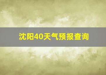 沈阳40天气预报查询