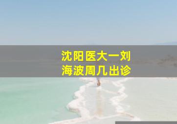 沈阳医大一刘海波周几出诊