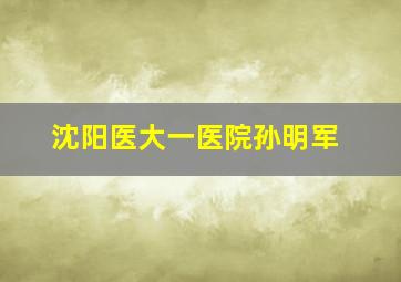 沈阳医大一医院孙明军