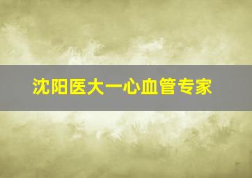 沈阳医大一心血管专家