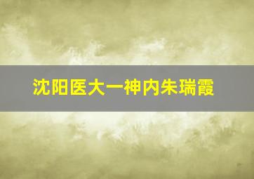 沈阳医大一神内朱瑞霞