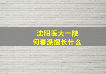 沈阳医大一院何春涤擅长什么