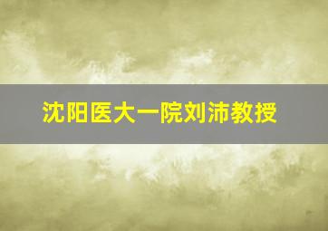 沈阳医大一院刘沛教授