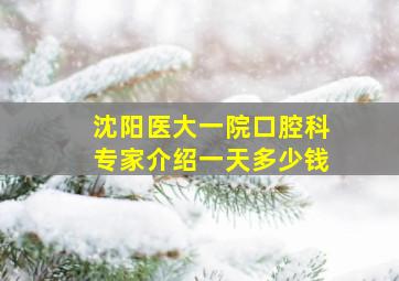 沈阳医大一院口腔科专家介绍一天多少钱