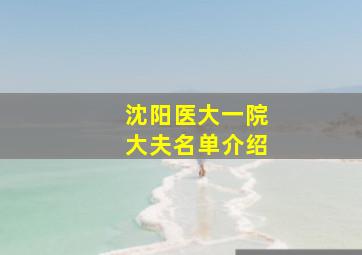 沈阳医大一院大夫名单介绍