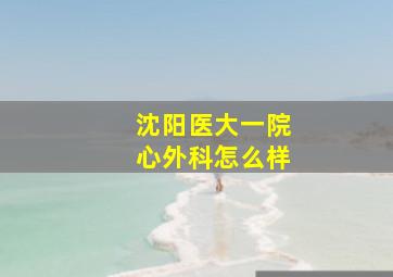 沈阳医大一院心外科怎么样