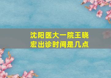 沈阳医大一院王晓宏出诊时间是几点