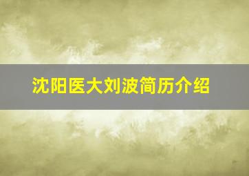 沈阳医大刘波简历介绍