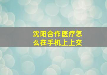 沈阳合作医疗怎么在手机上上交