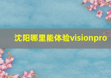 沈阳哪里能体验visionpro