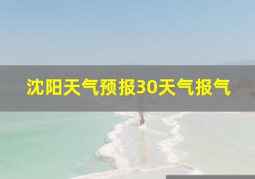 沈阳天气预报30天气报气