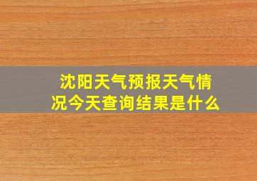 沈阳天气预报天气情况今天查询结果是什么