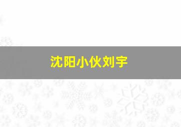 沈阳小伙刘宇