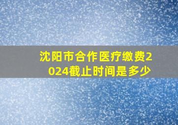 沈阳市合作医疗缴费2024截止时间是多少