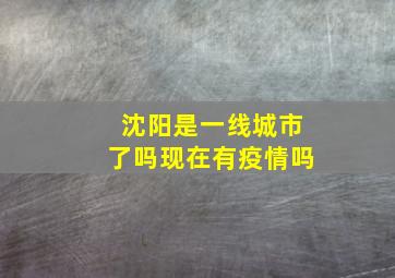 沈阳是一线城市了吗现在有疫情吗