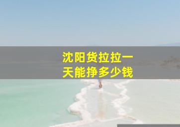 沈阳货拉拉一天能挣多少钱