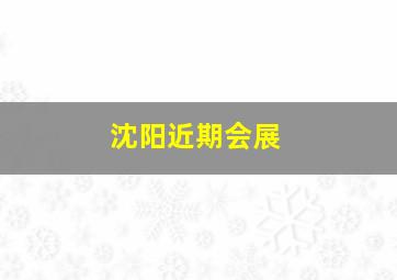 沈阳近期会展