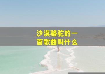 沙漠骆驼的一首歌曲叫什么