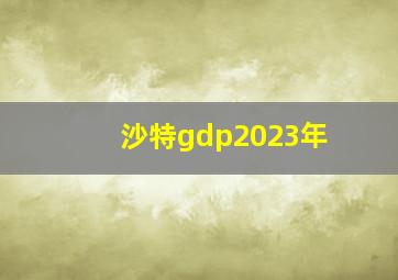 沙特gdp2023年