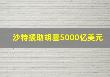 沙特援助胡塞5000亿美元