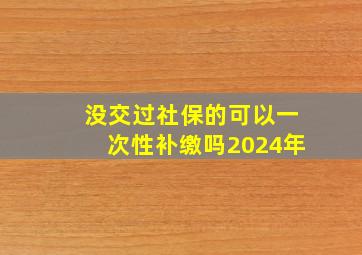 没交过社保的可以一次性补缴吗2024年