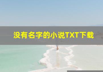 没有名字的小说TXT下载